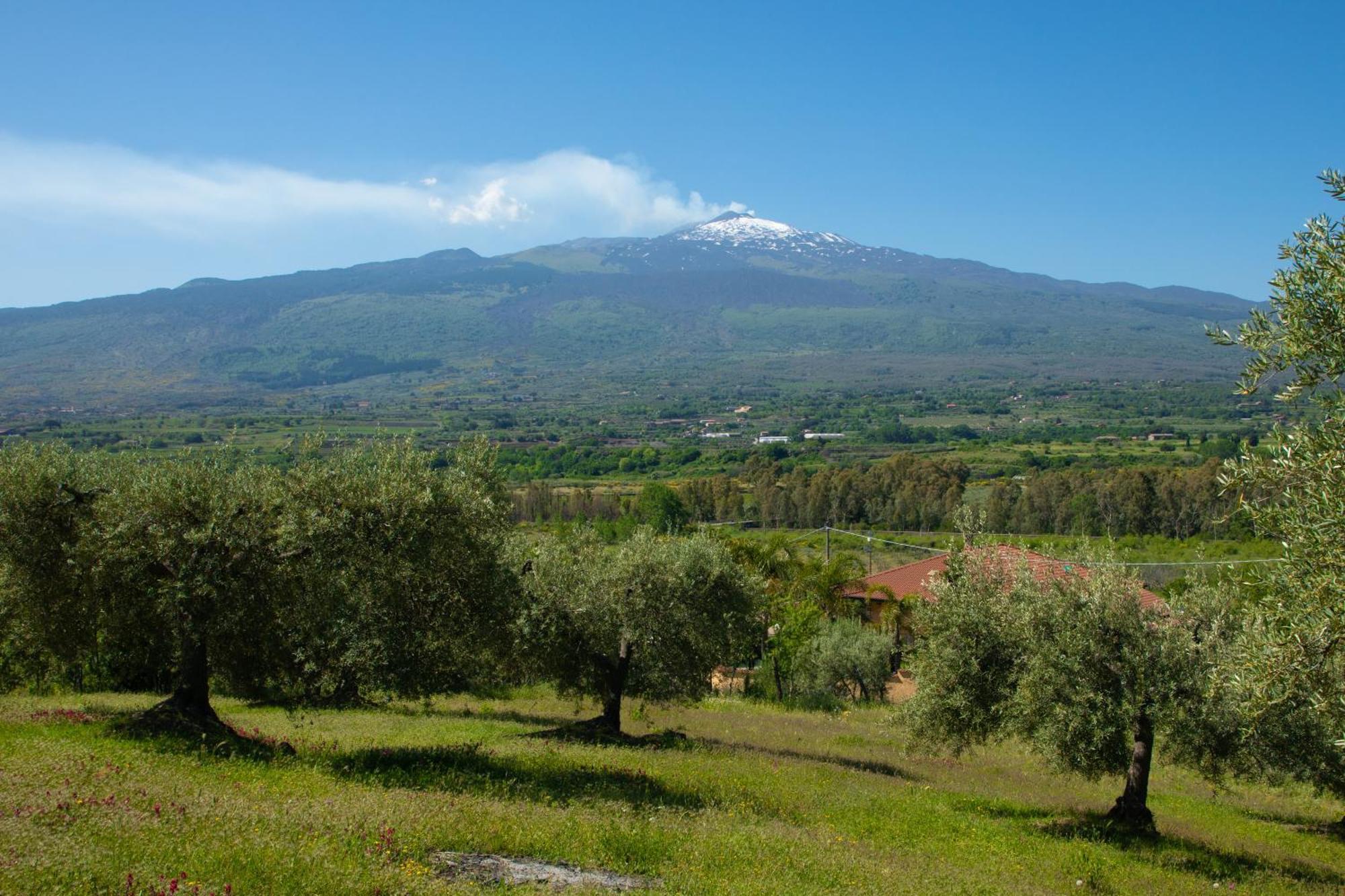 B&B Affittacamere Al Vulcanetto Moio Alcantara ภายนอก รูปภาพ